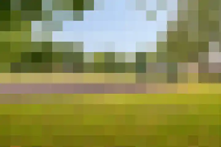 Hoge Boekelerweg 156 Enschede thumbnail 43