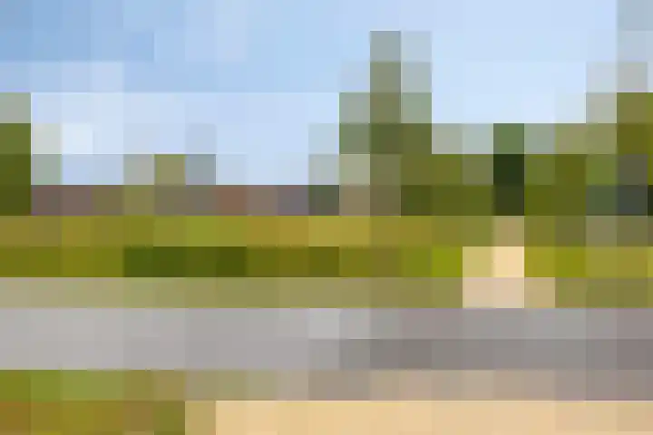 Hoge Boekelerweg 156 Enschede thumbnail 44