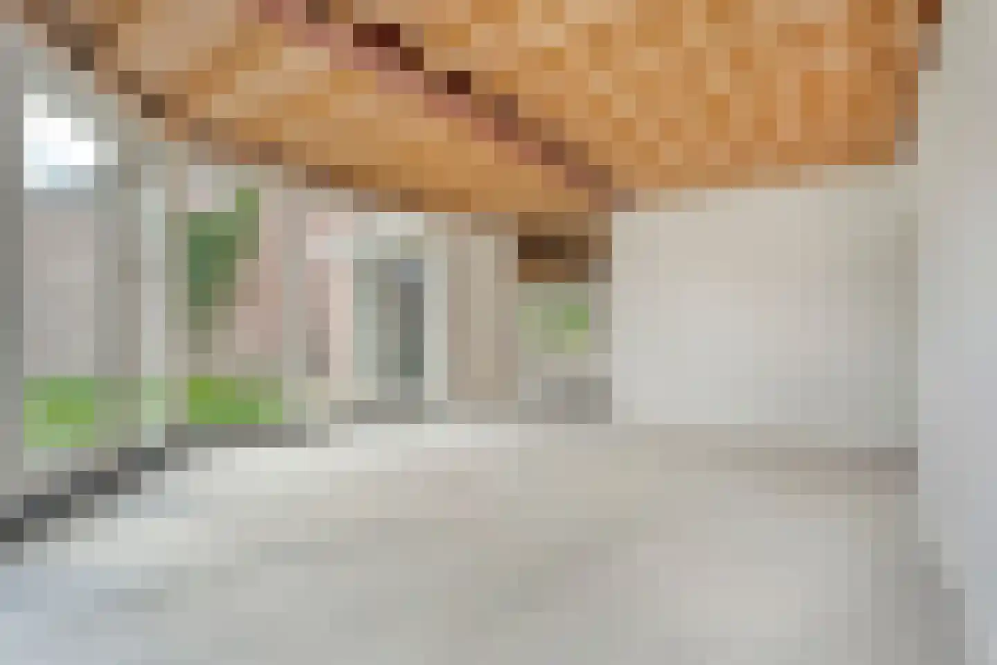 Hoge Boekelerweg 428 Enschede thumbnail 9