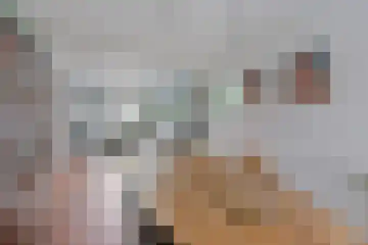 Hoge Boekelerweg 6 Enschede thumbnail 10