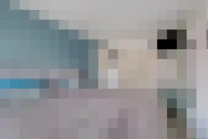 Hoge Boekelerweg 6 Enschede thumbnail 17