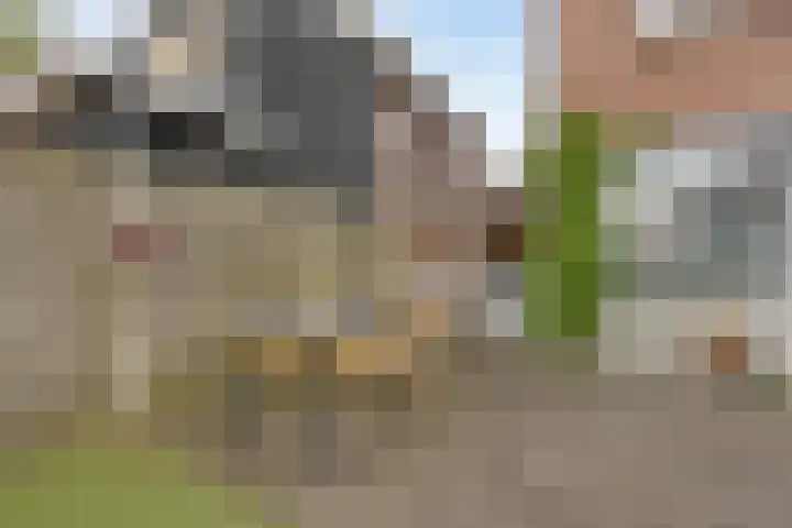 Hoge Boekelerweg 6 Enschede thumbnail 25