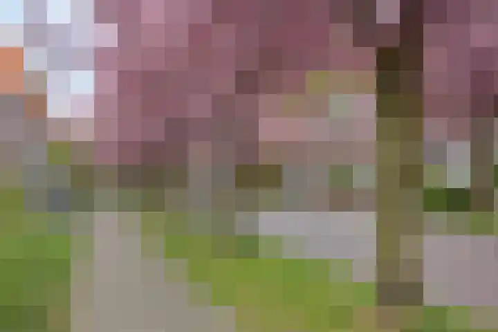 Hoge Boekelerweg 6 Enschede thumbnail 28