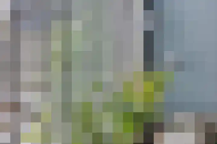 Hoge Boekelerweg 6 Enschede thumbnail 8