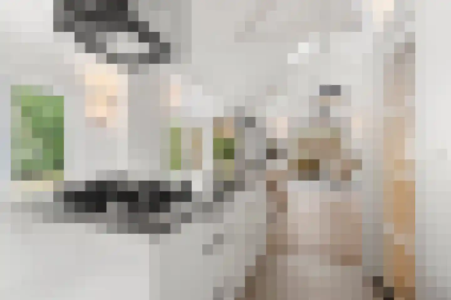 Hoge Boeschoterweg 52 Garderen thumbnail 15