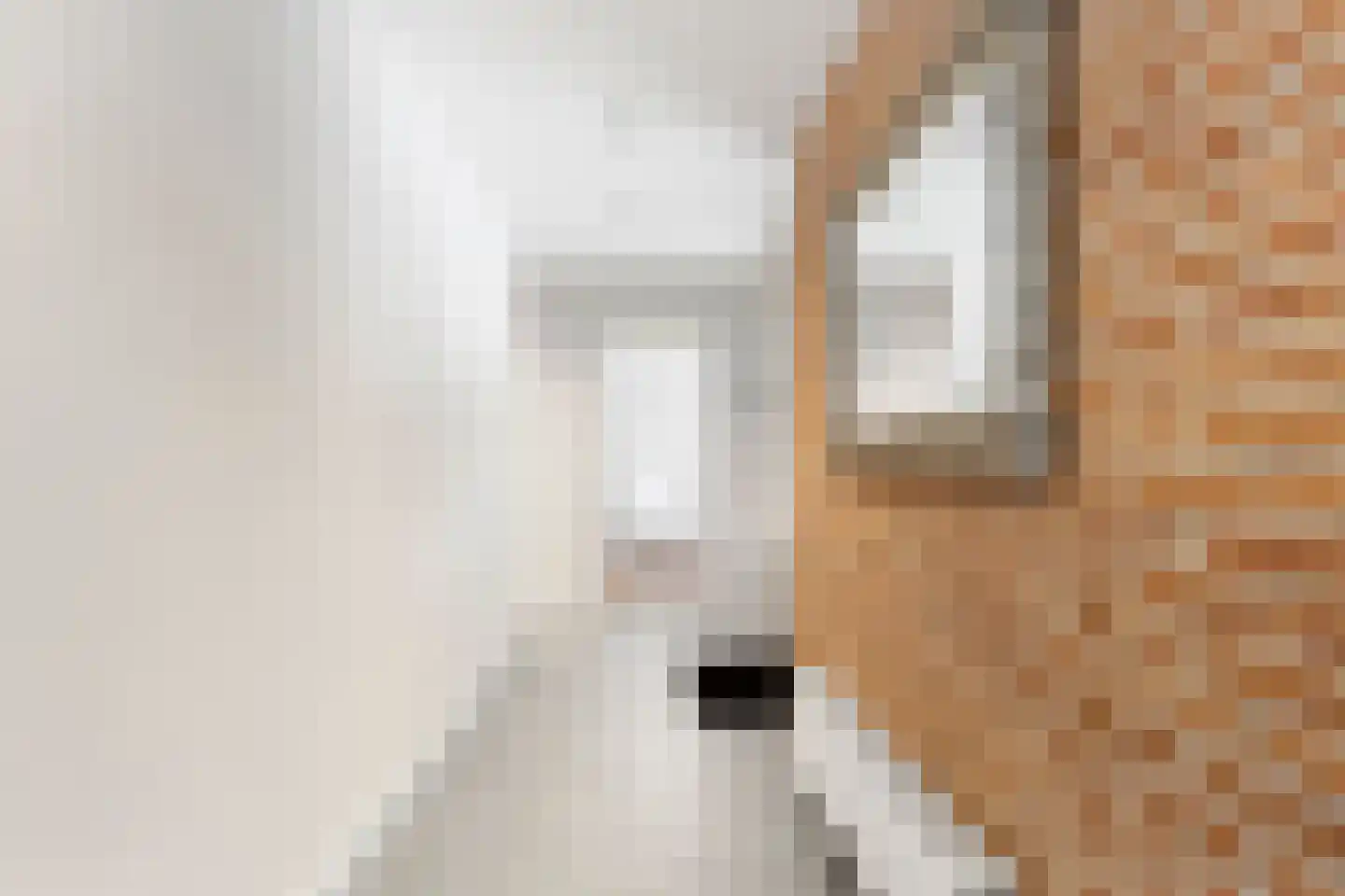 Hoge Boeschoterweg 52 Garderen thumbnail 25