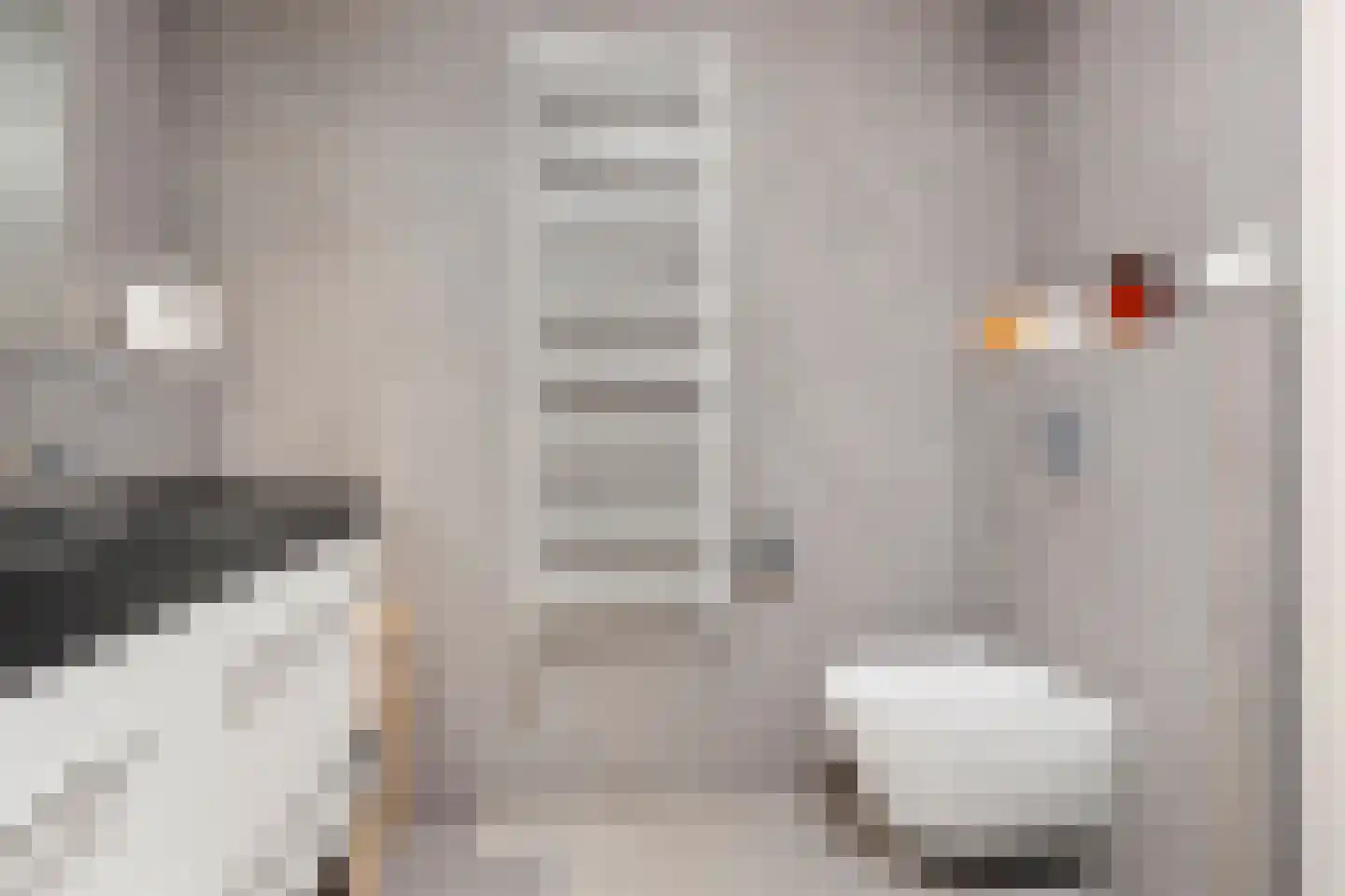 Hoge Boeschoterweg 52 Garderen thumbnail 33
