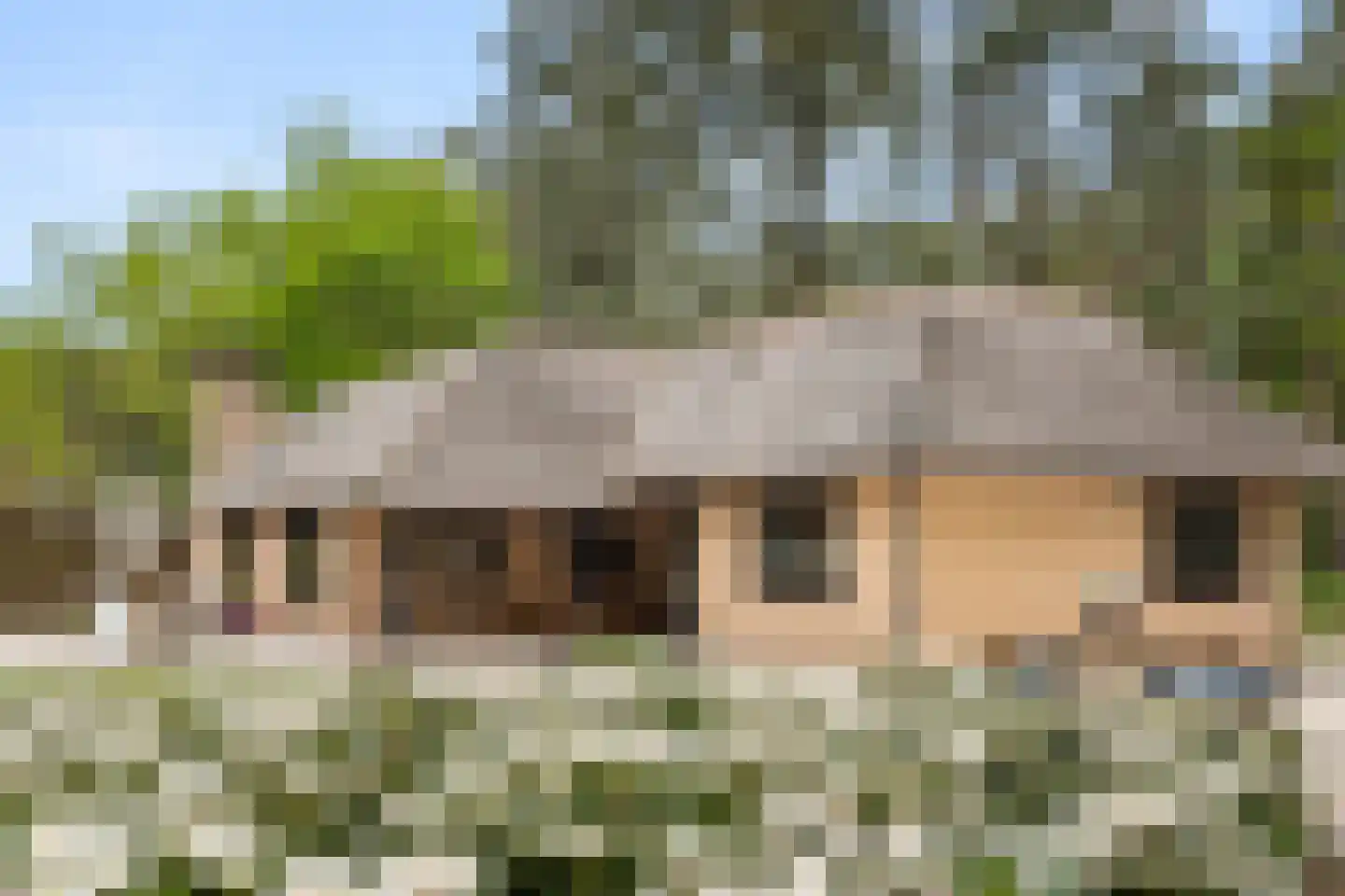 Hoge Boeschoterweg 52 Garderen thumbnail 39