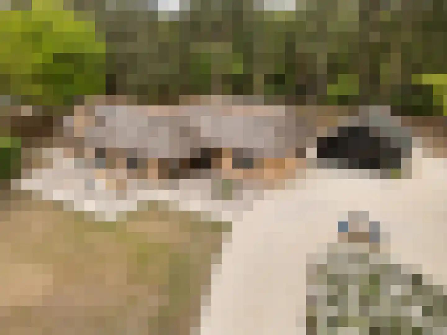 Hoge Boeschoterweg 52 Garderen thumbnail 40