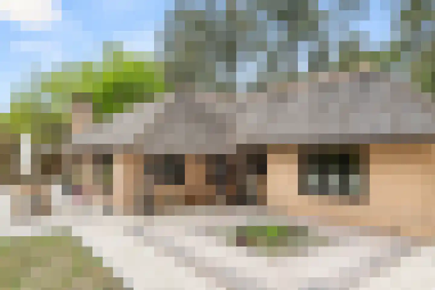 Hoge Boeschoterweg 52 Garderen thumbnail 40