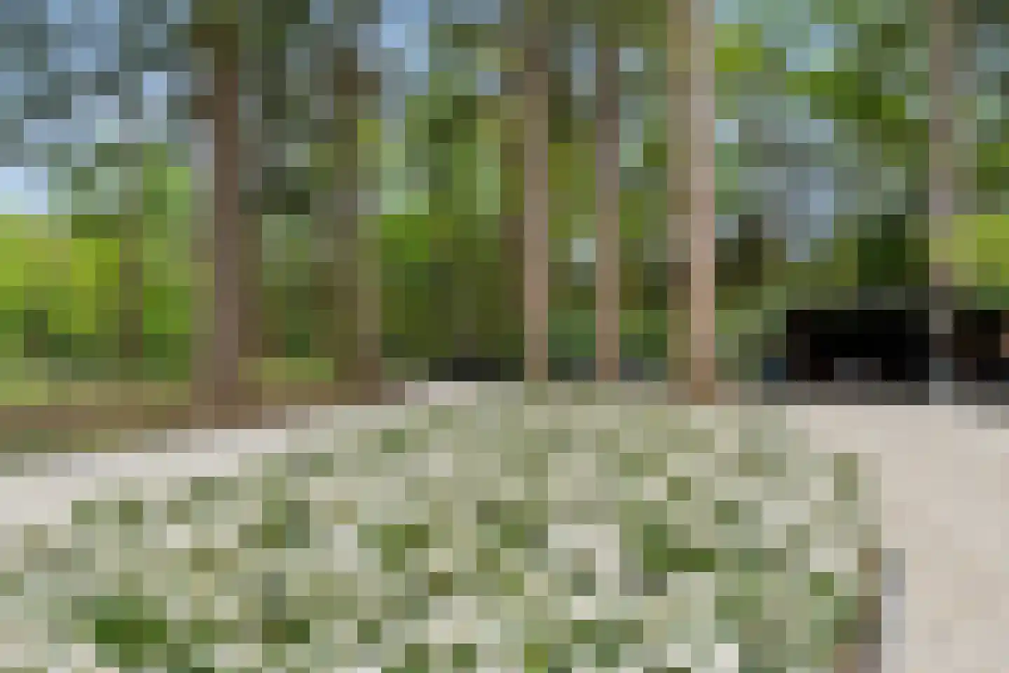 Hoge Boeschoterweg 52 Garderen thumbnail 42