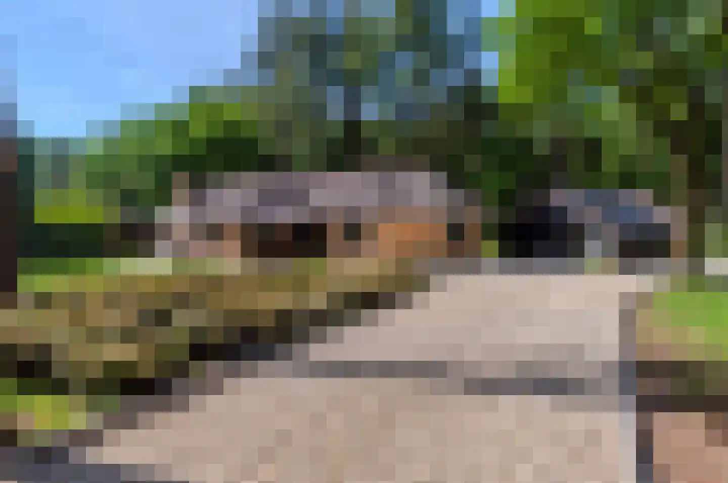 Hoge Boeschoterweg 52 Garderen thumbnail 47