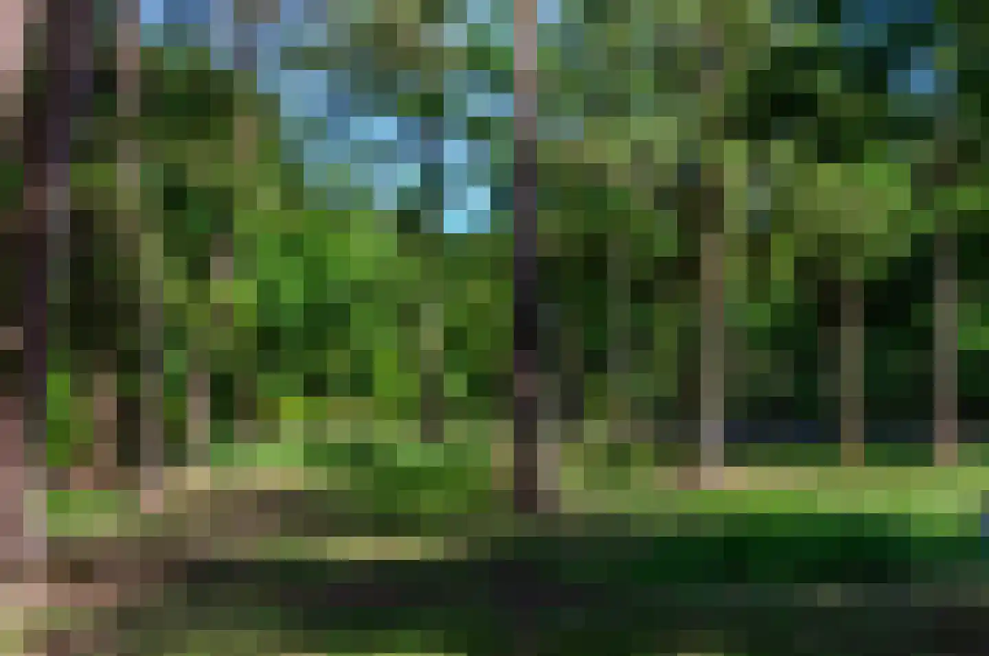 Hoge Boeschoterweg 52 Garderen thumbnail 48