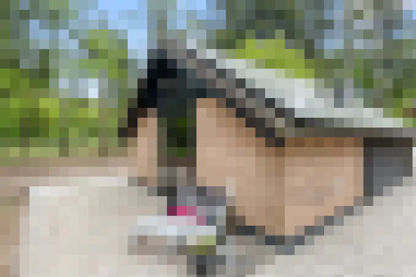 Hoge Boeschoterweg 52 Garderen thumbnail 48