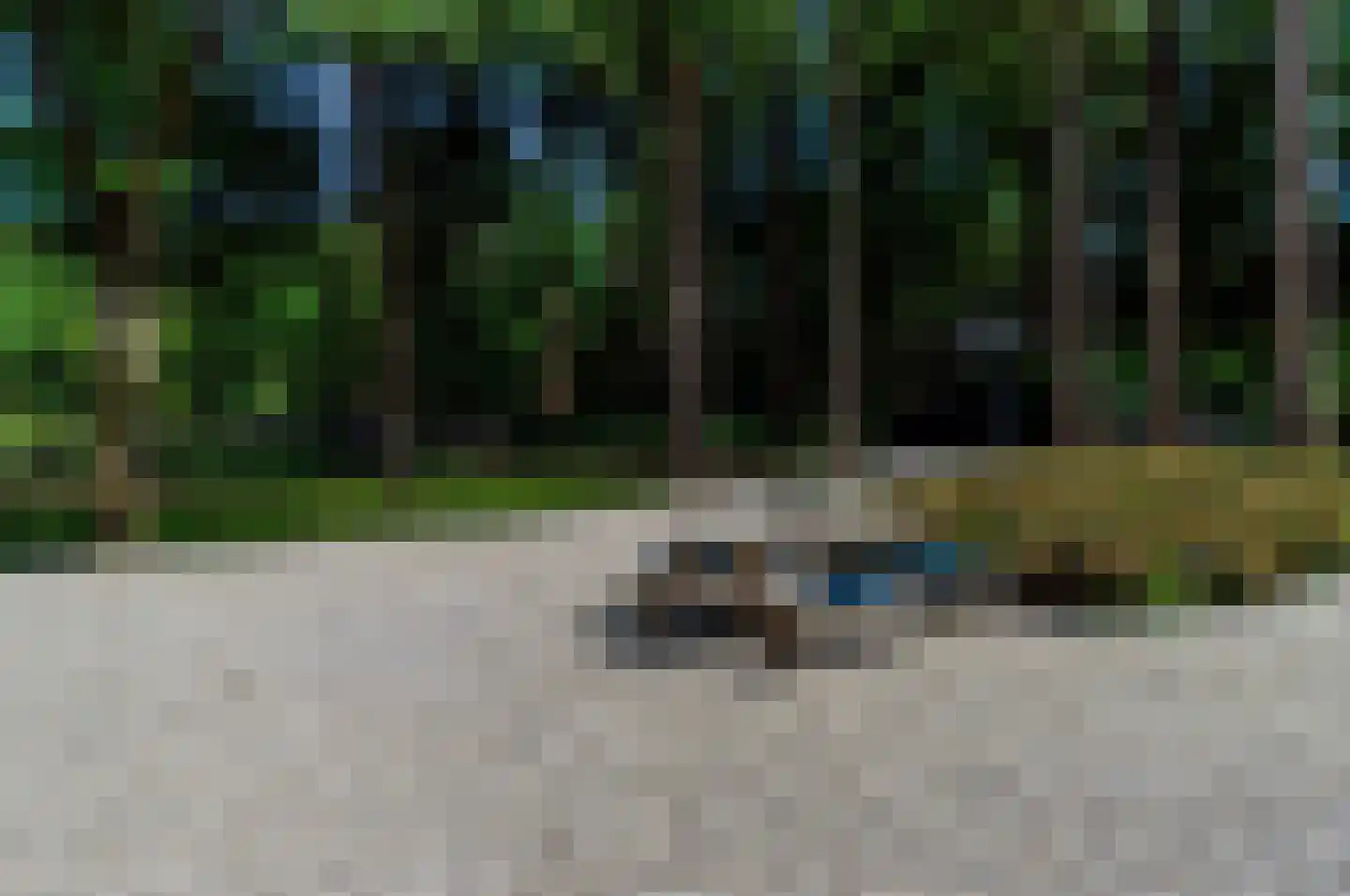 Hoge Boeschoterweg 52 Garderen thumbnail 53