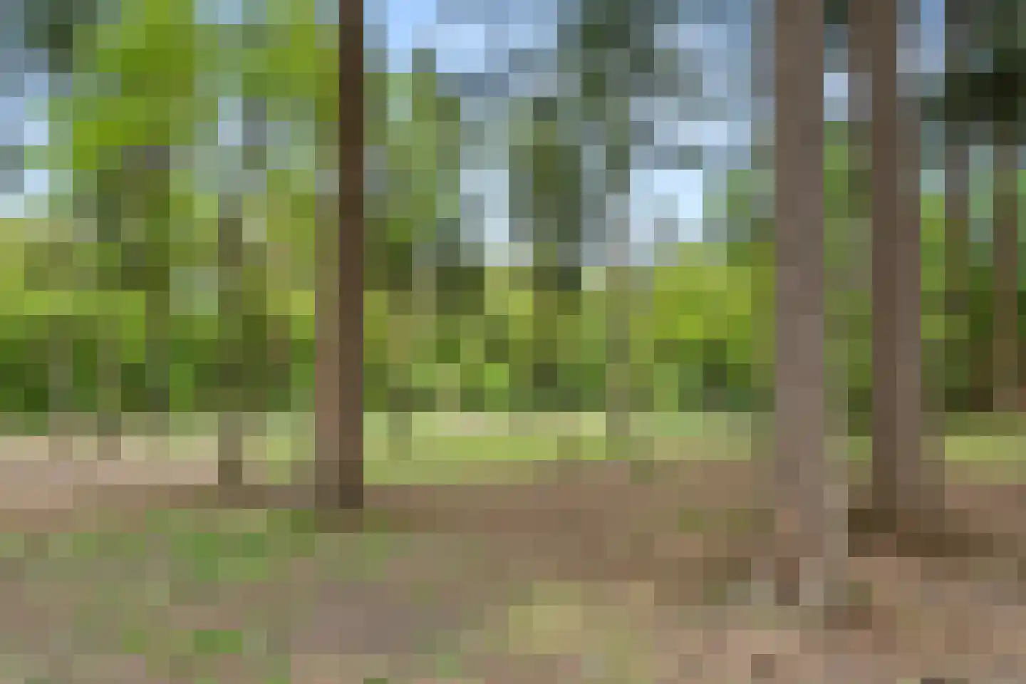 Hoge Boeschoterweg 52 Garderen thumbnail 53