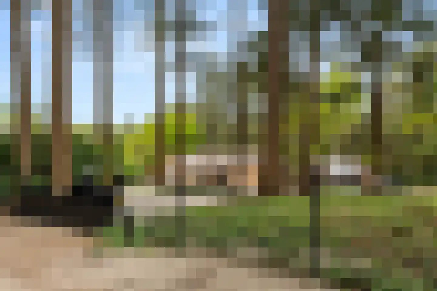 Hoge Boeschoterweg 52 Garderen thumbnail 54