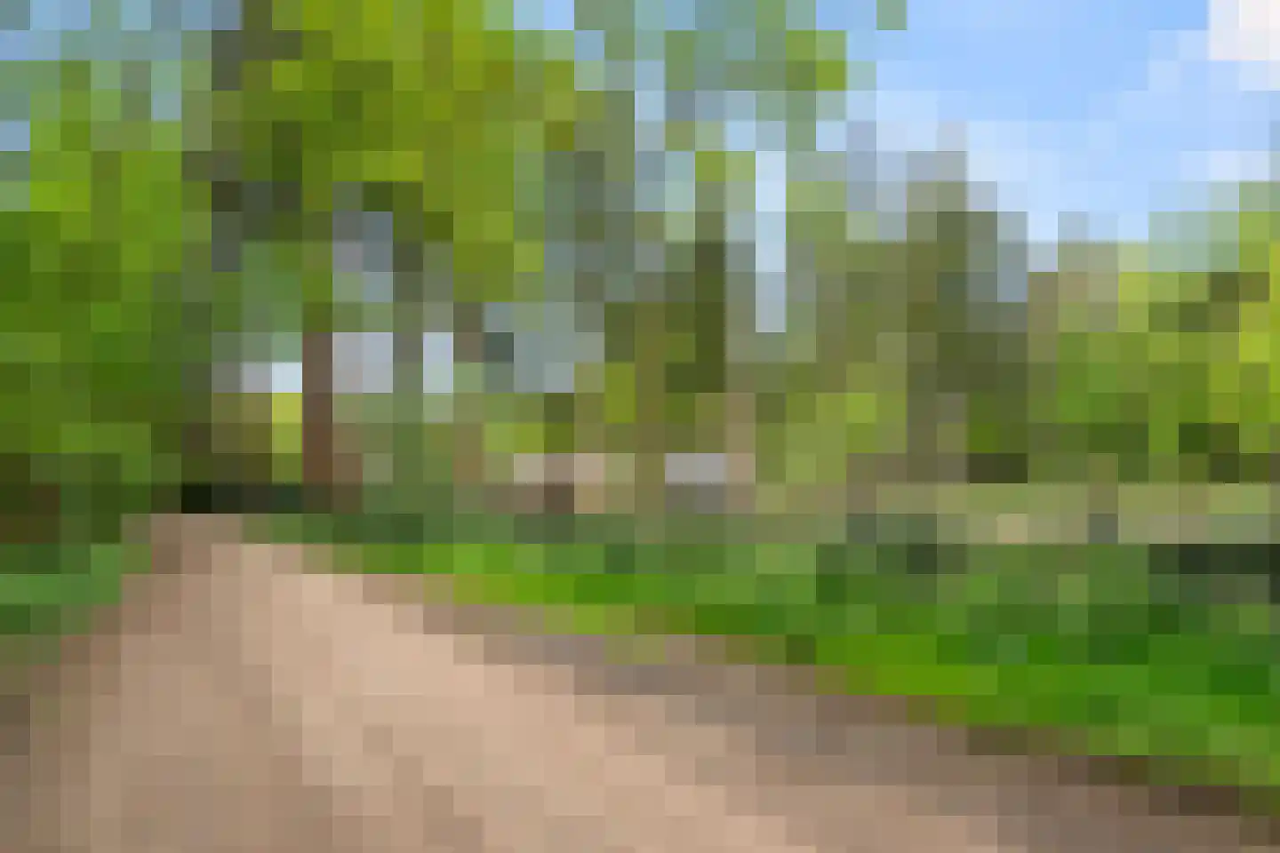 Hoge Boeschoterweg 52 Garderen thumbnail 55