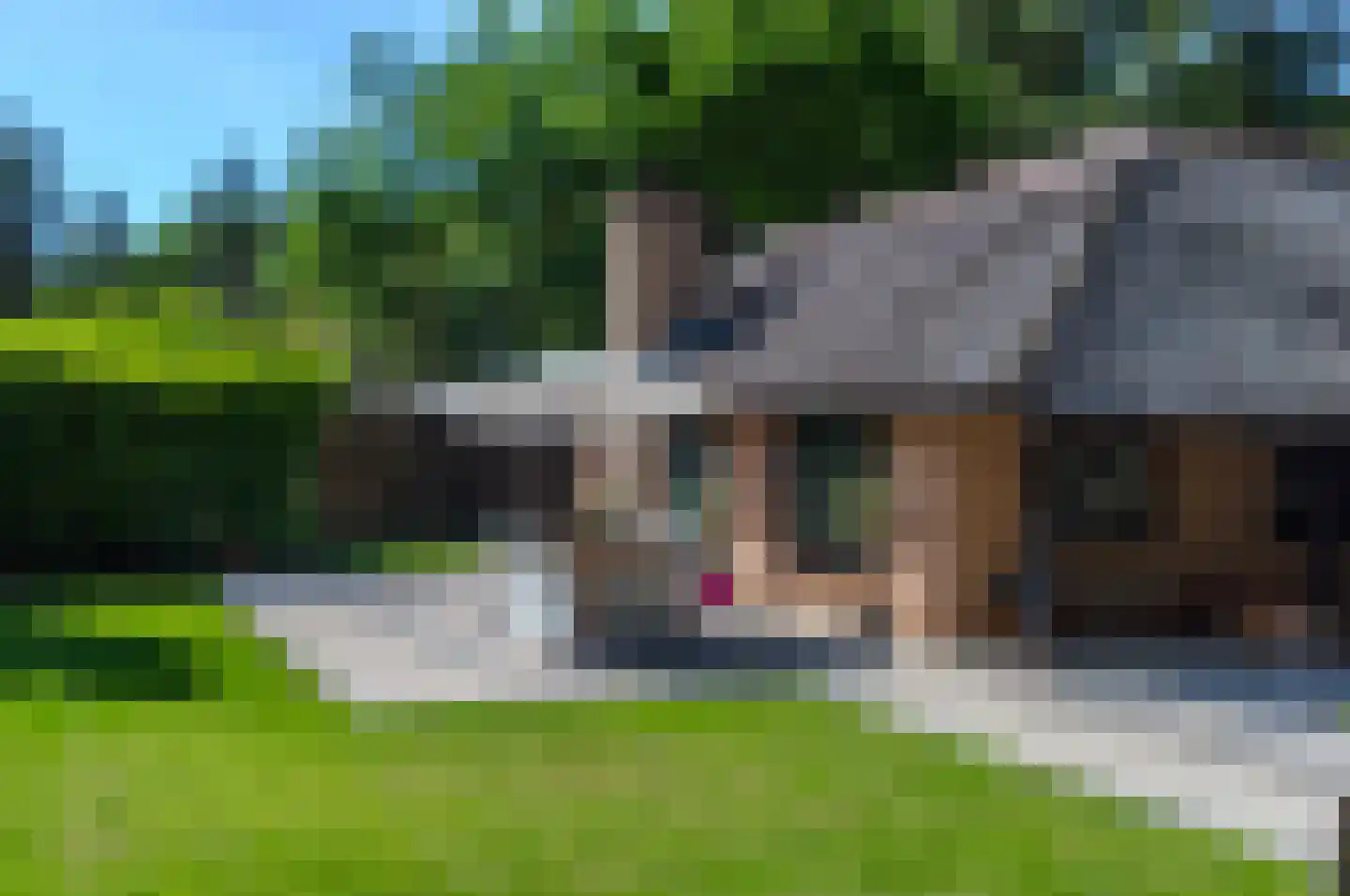 Hoge Boeschoterweg 52 Garderen thumbnail 56