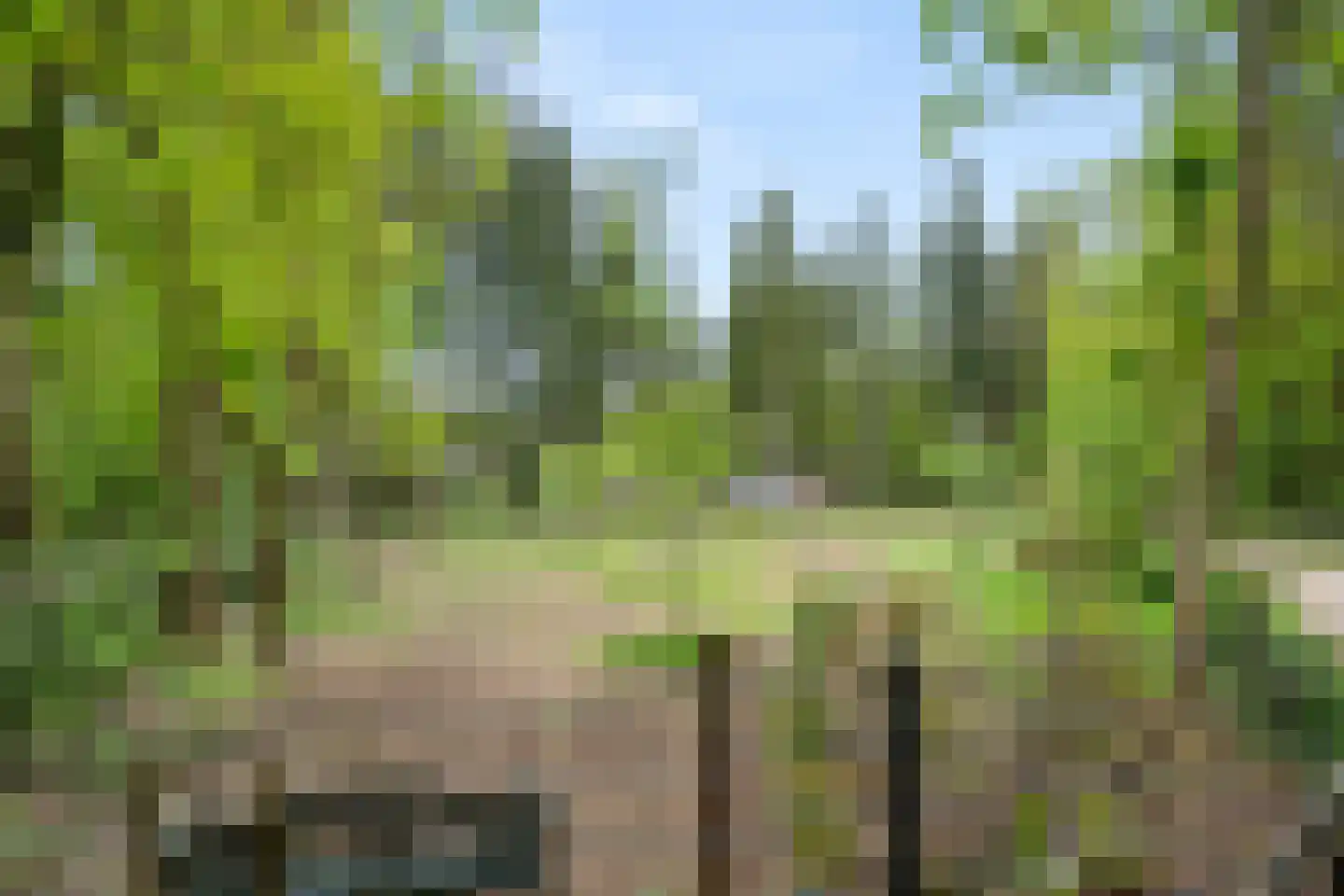 Hoge Boeschoterweg 52 Garderen thumbnail 56