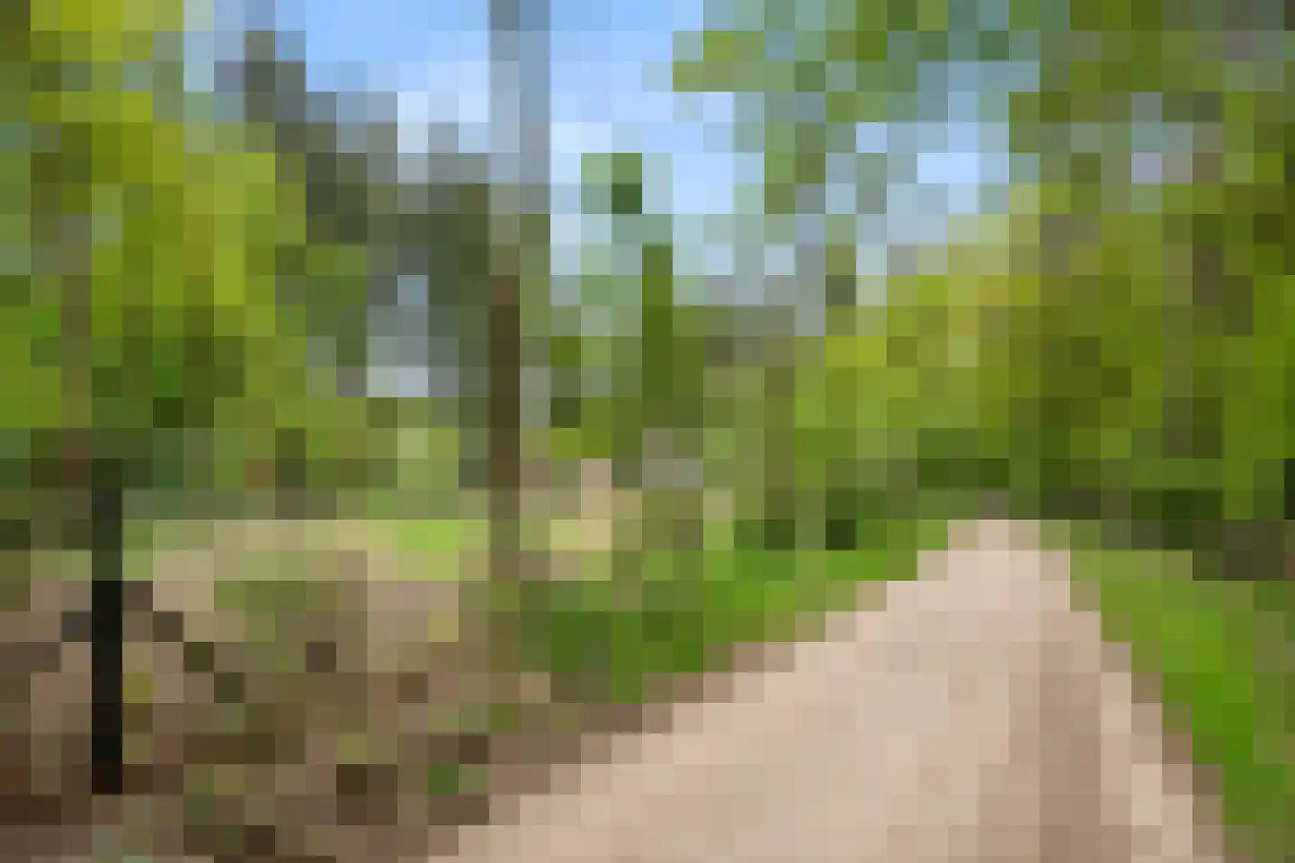 Hoge Boeschoterweg 52 Garderen thumbnail 57