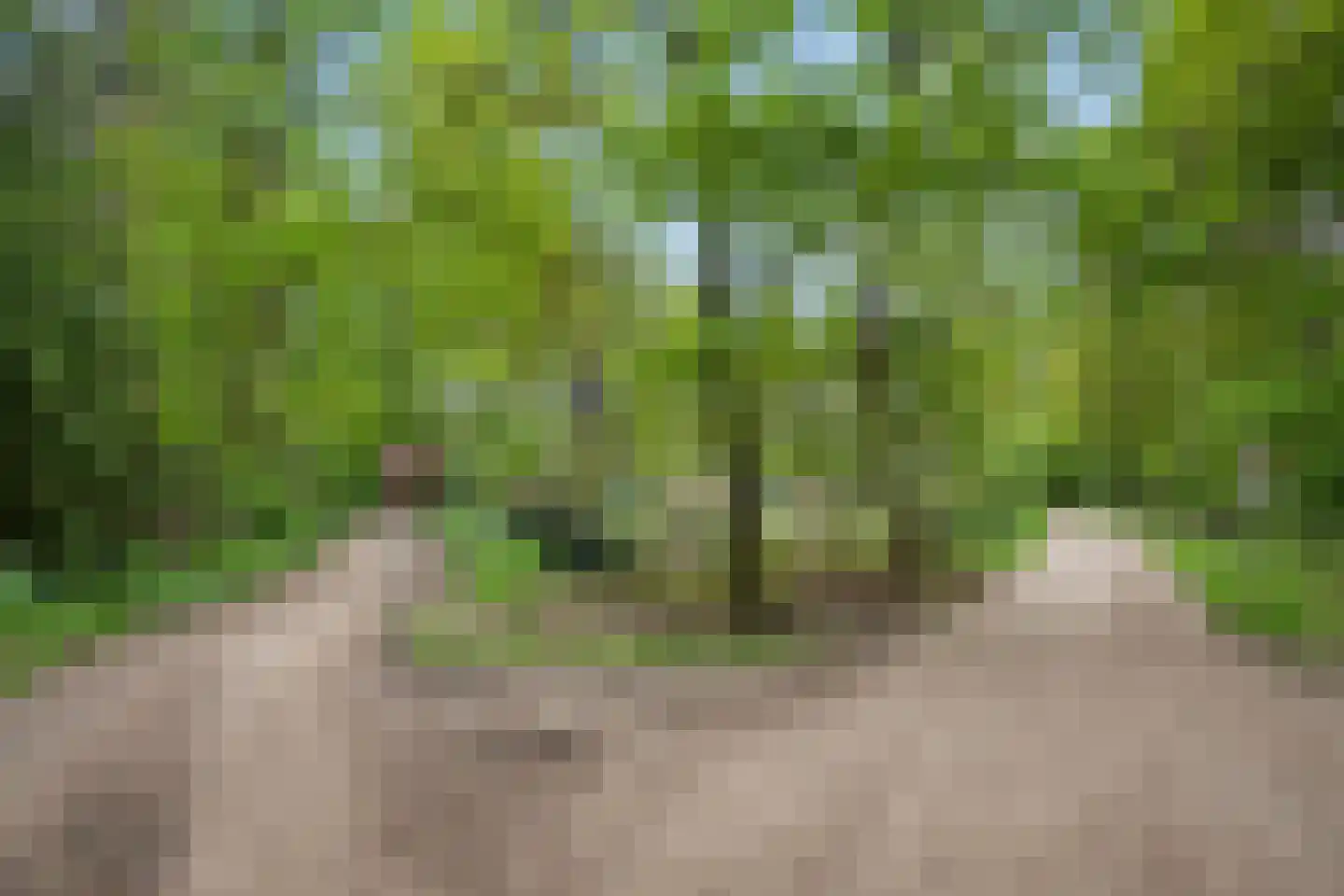 Hoge Boeschoterweg 52 Garderen thumbnail 58