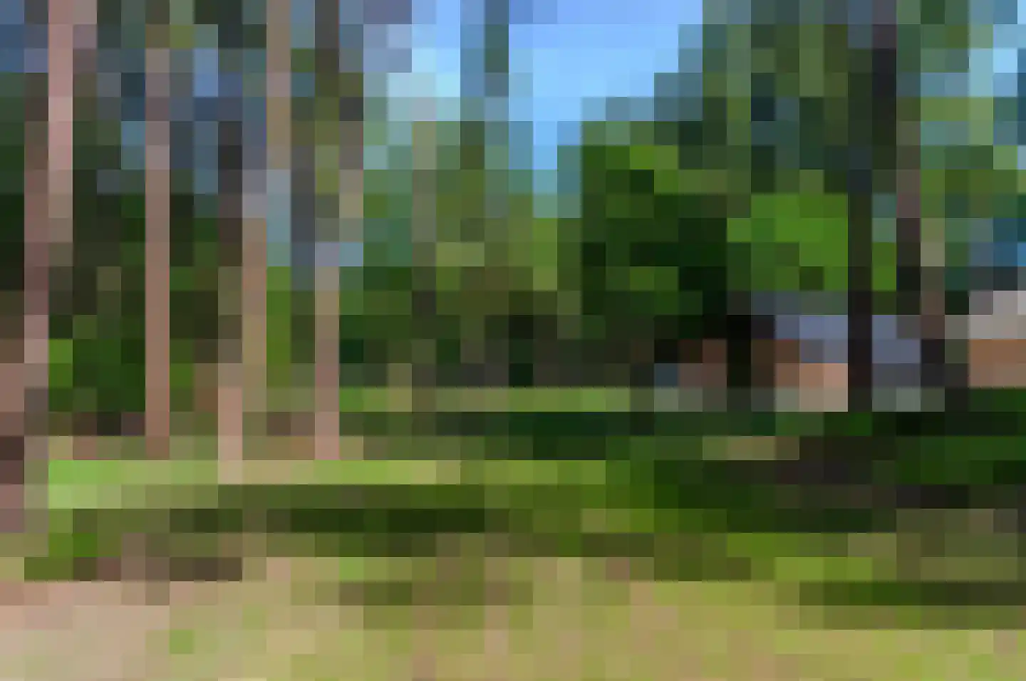 Hoge Boeschoterweg 52 Garderen thumbnail 64