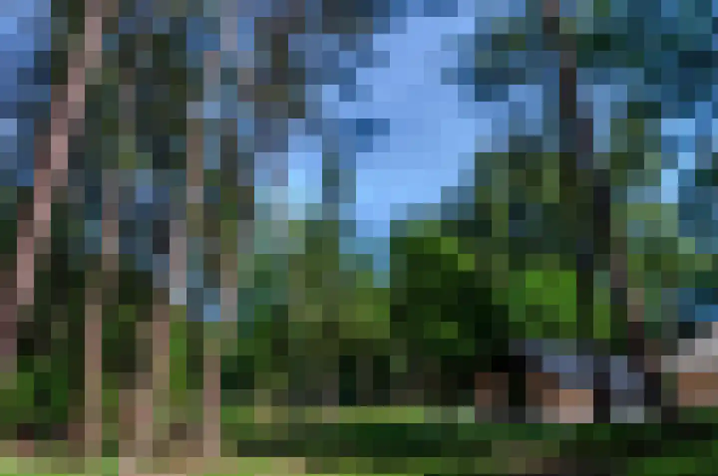 Hoge Boeschoterweg 52 Garderen thumbnail 65