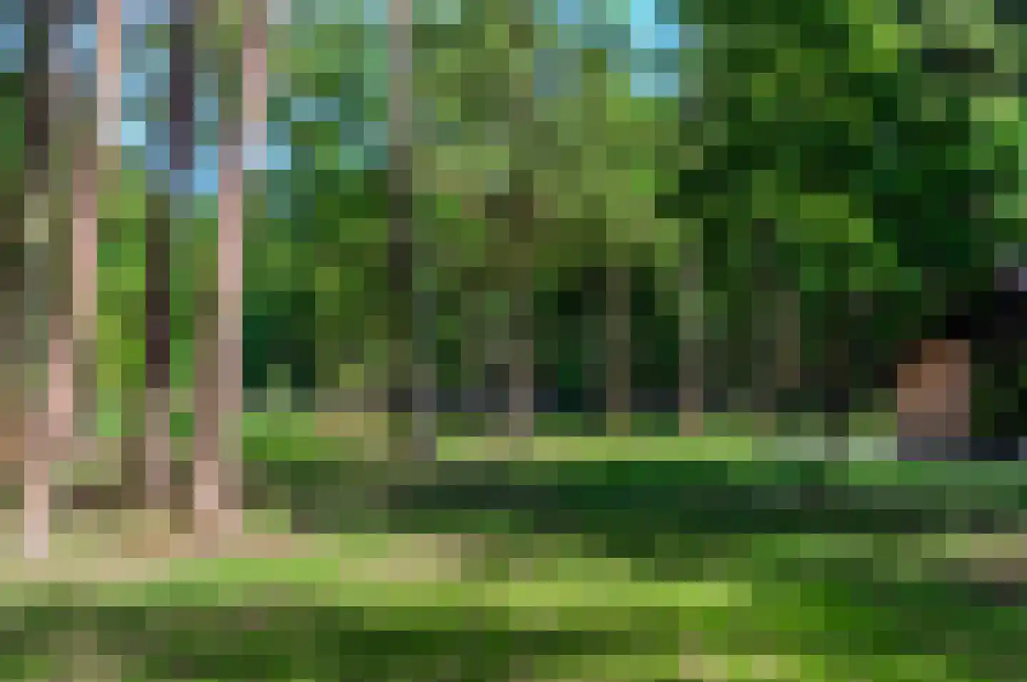 Hoge Boeschoterweg 52 Garderen thumbnail 66