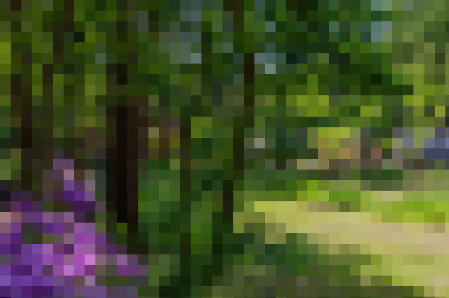 Hoge Boeschoterweg 52 Garderen thumbnail 68