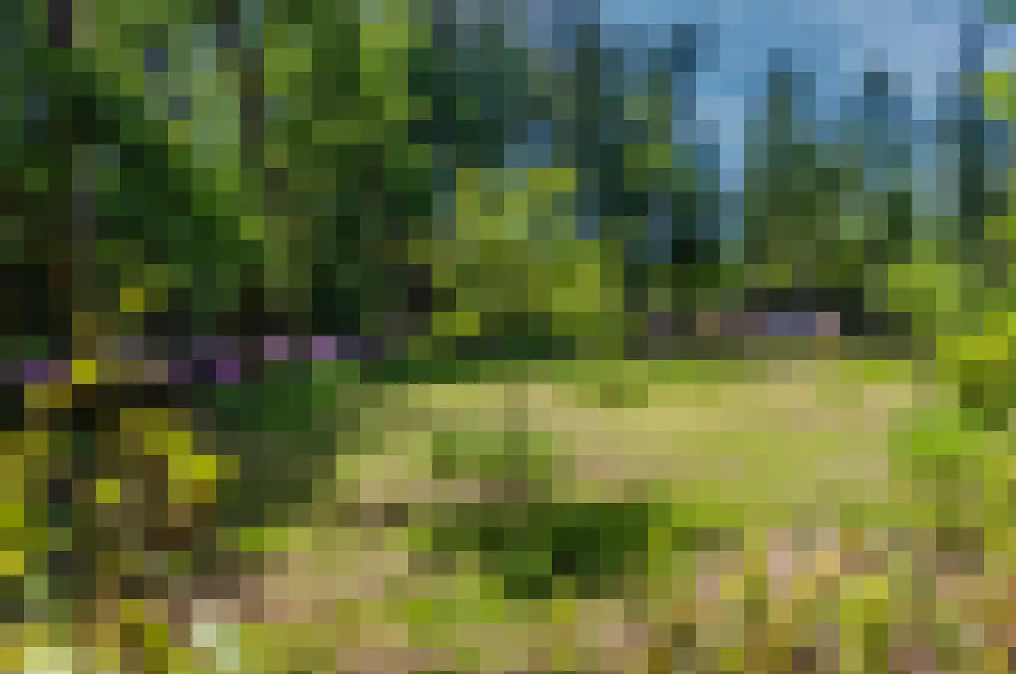 Hoge Boeschoterweg 52 Garderen thumbnail 69