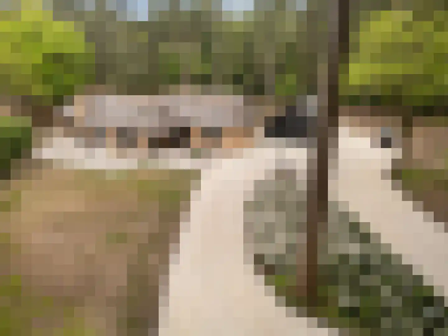 Hoge Boeschoterweg 52 Garderen thumbnail 7
