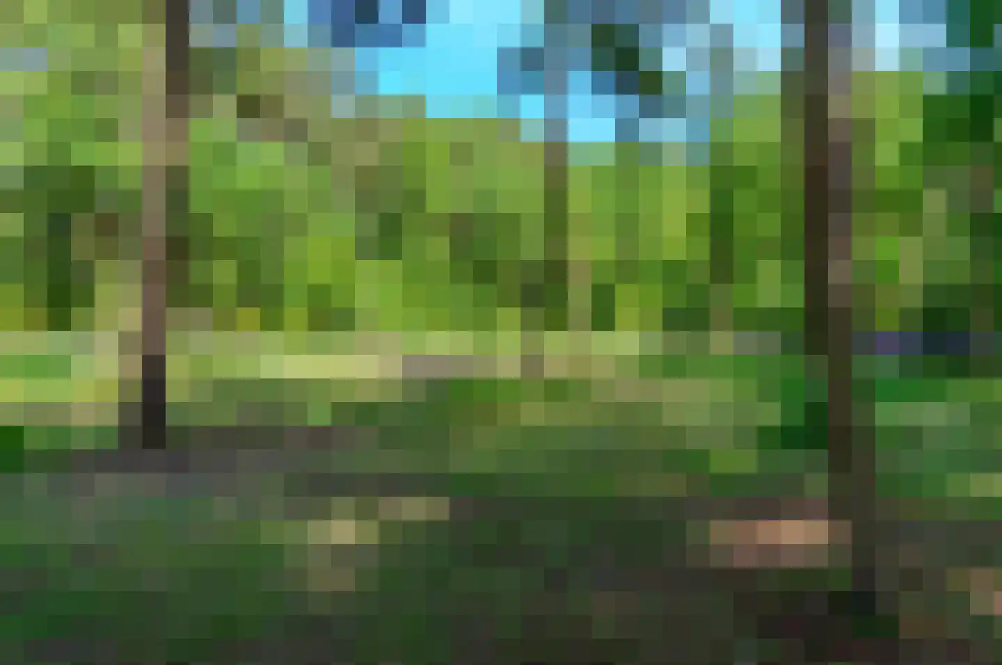 Hoge Boeschoterweg 52 Garderen thumbnail 70
