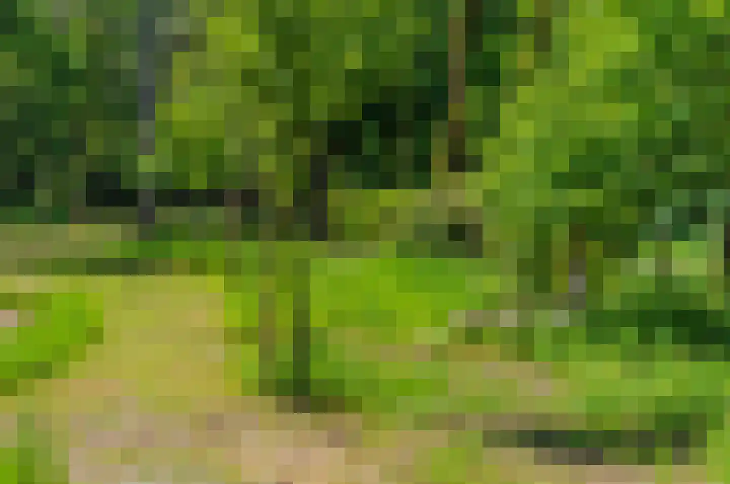 Hoge Boeschoterweg 52 Garderen thumbnail 71