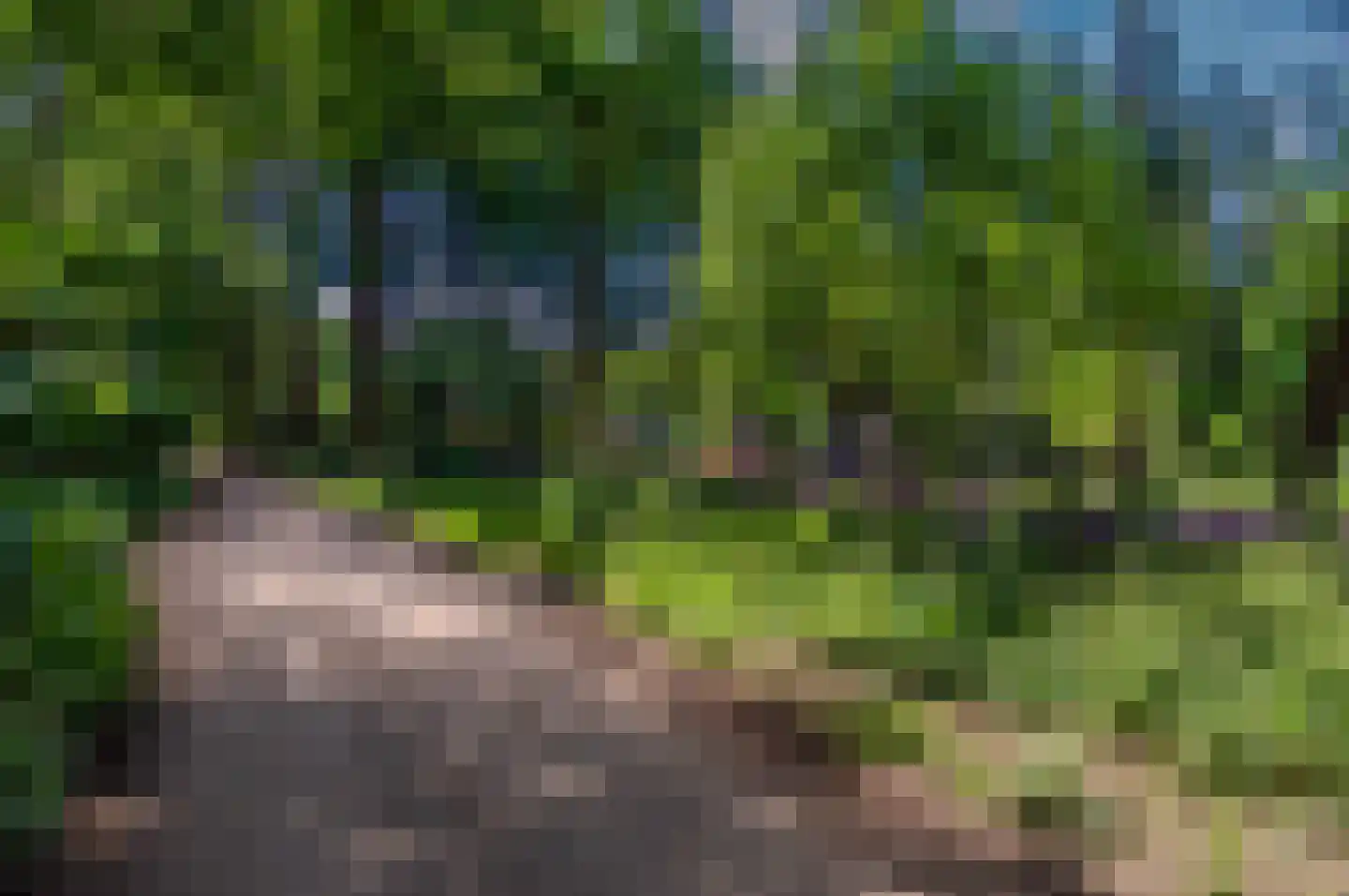 Hoge Boeschoterweg 52 Garderen thumbnail 72