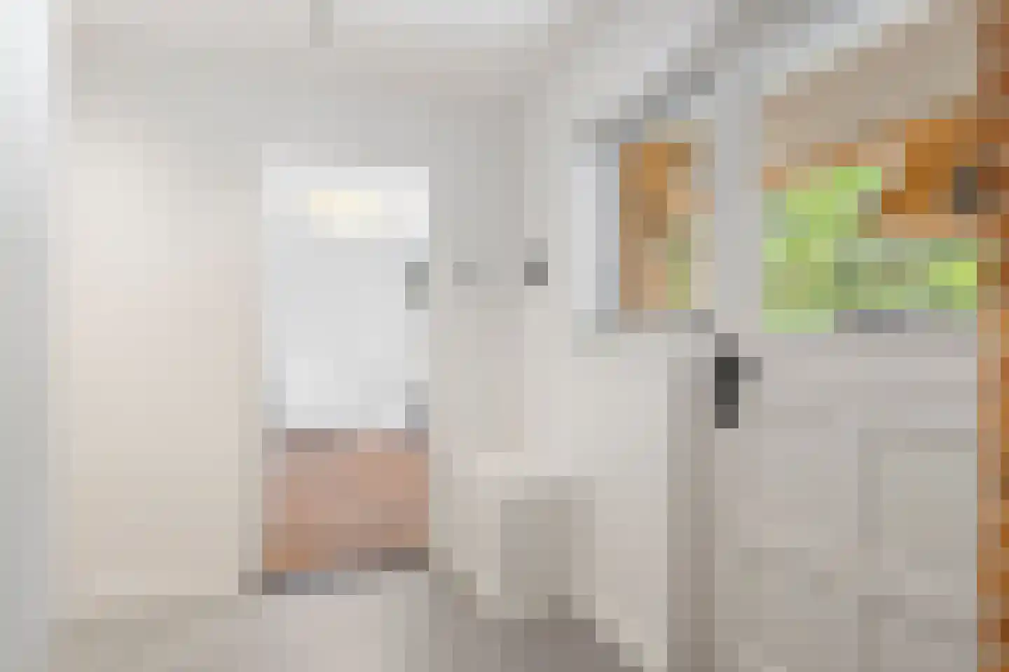 Hoge Boeschoterweg 52 Garderen thumbnail 8