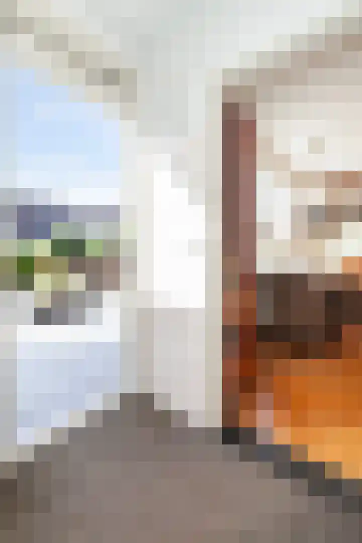 Hoge Boezem 18 Nieuw-Lekkerland thumbnail 14