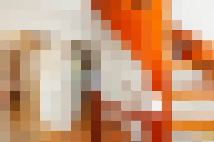 Hoge Boezem 18 Nieuw-Lekkerland thumbnail 15