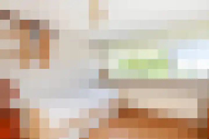 Hoge Boezem 18 Nieuw-Lekkerland thumbnail 19