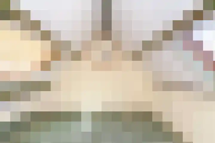 Hoge Boezem 18 Nieuw-Lekkerland thumbnail 27