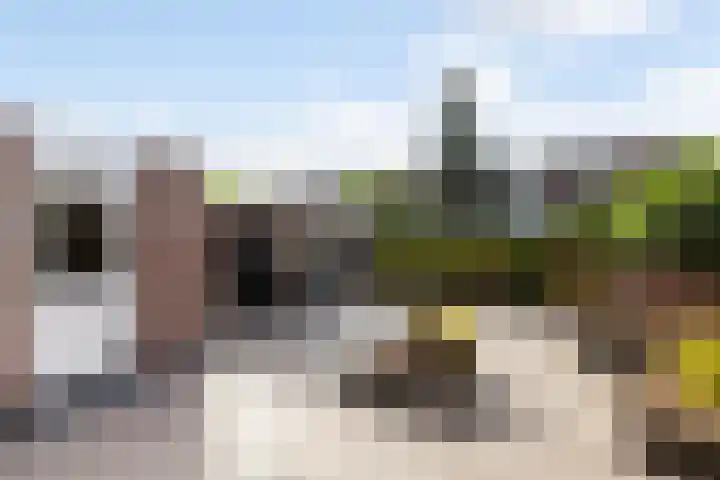 Hoge Boezem 18 Nieuw-Lekkerland thumbnail 28