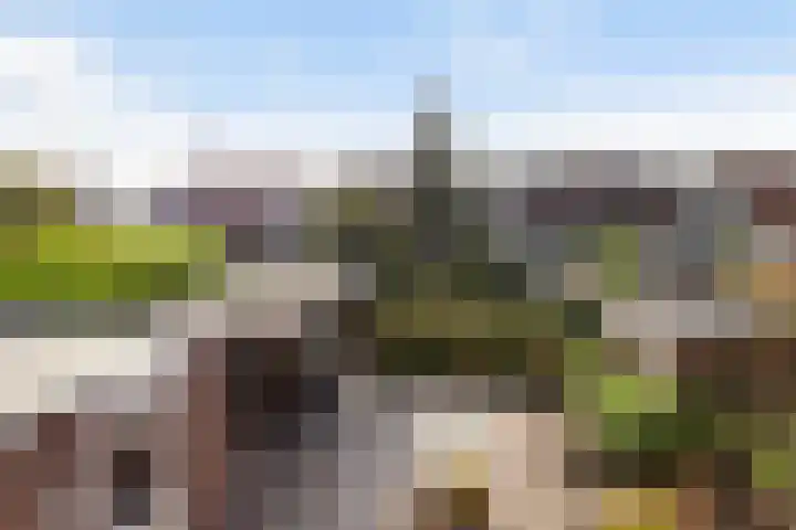 Hoge Boezem 18 Nieuw-Lekkerland thumbnail 33