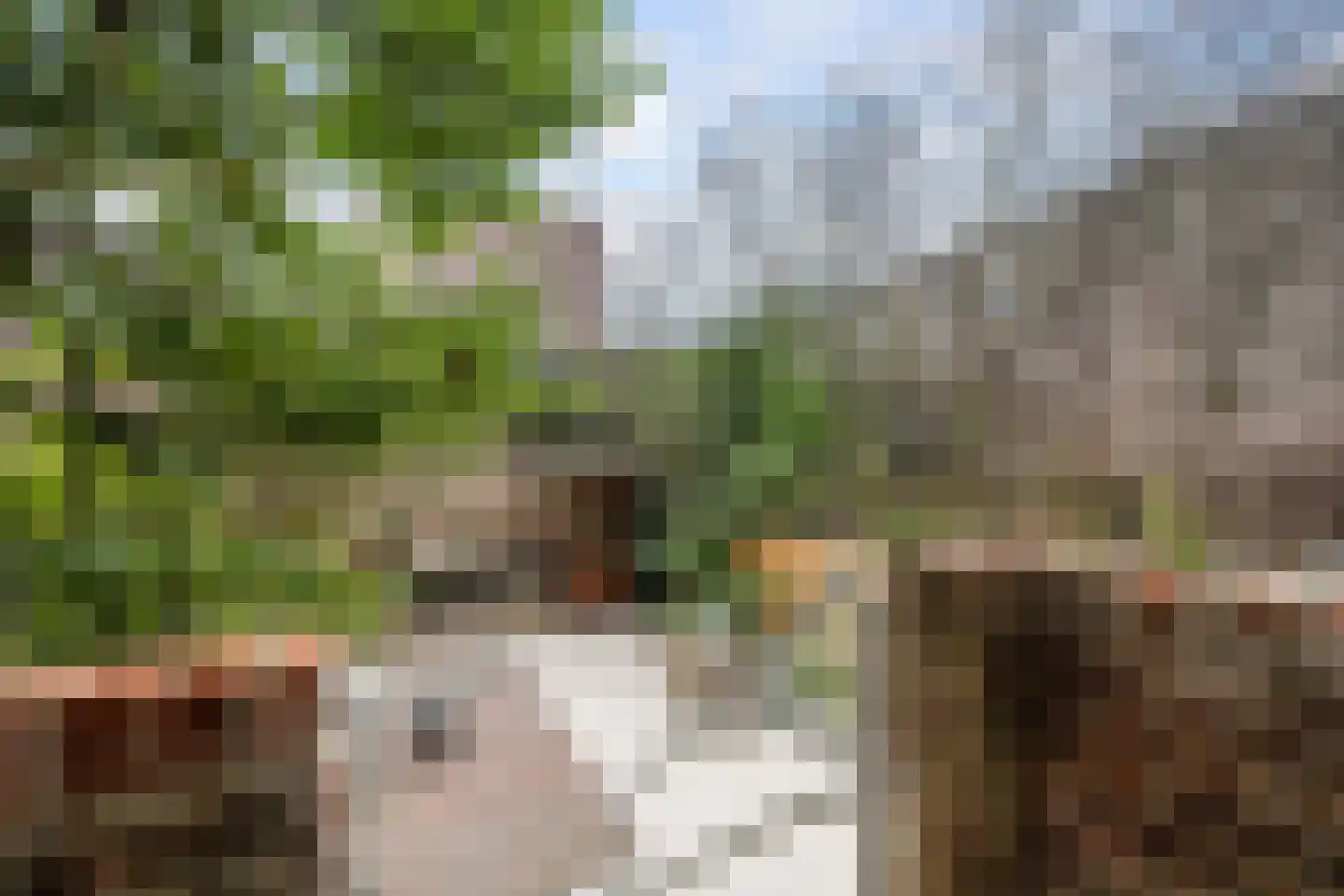 Hoge Boezem 20 B Rotterdam thumbnail 32