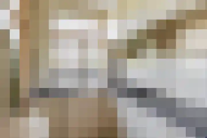 Hoge Boezem 21 B 02 Rotterdam thumbnail 17