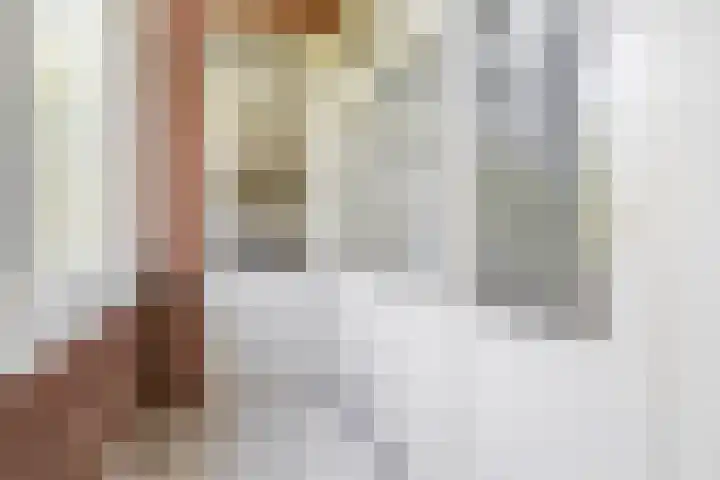 Hoge Boezem 21 B 02 Rotterdam thumbnail 22