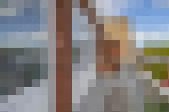 Hoge Boezem 21 B 02 Rotterdam thumbnail 29