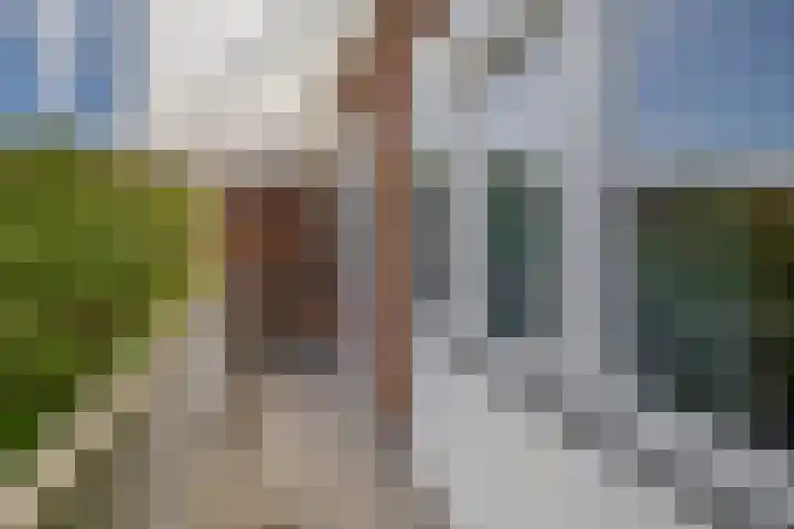 Hoge Boezem 21 B 02 Rotterdam thumbnail 29