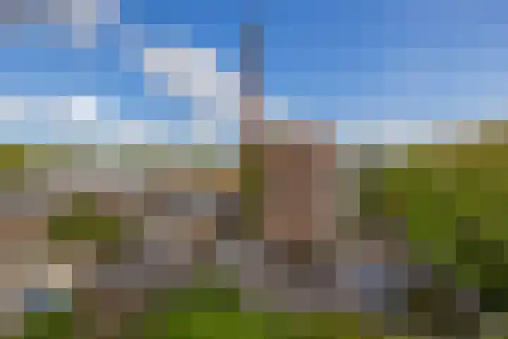 Hoge Boezem 21 B 02 Rotterdam thumbnail 30