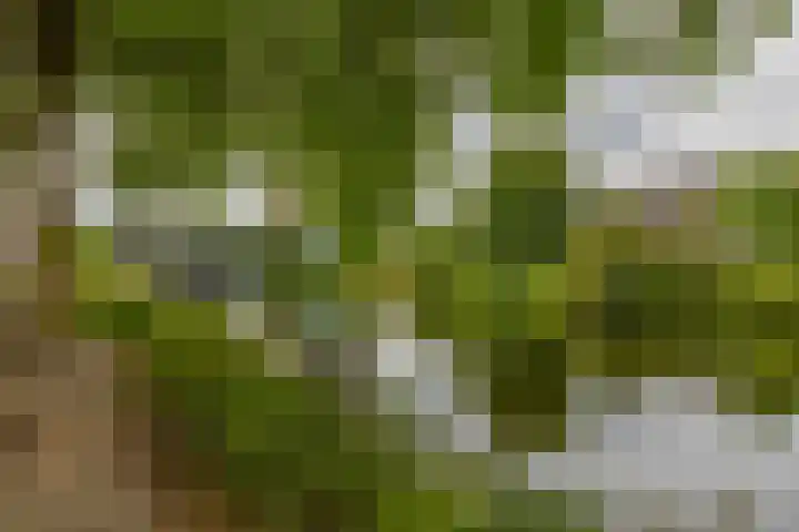 Hoge Boezem 21 B 02 Rotterdam thumbnail 31