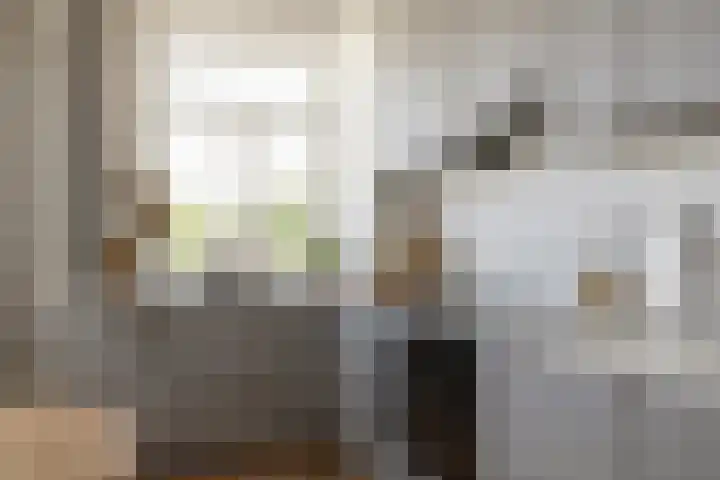 Hoge Boezem 21 B 02 Rotterdam thumbnail 5